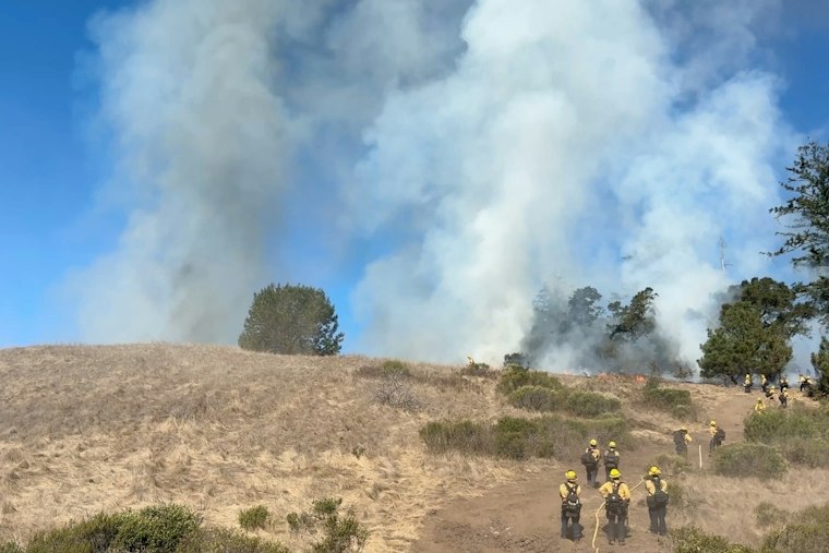 CAL FIRE Burns Up to 48 Acres at Swanton Pacific Ranch, Six Years After Fire Gutted It