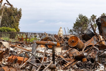 California Gives Lenders Two Weeks To Explain Delayed LA Fire Insurance Payouts