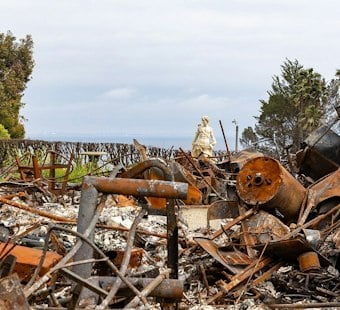 California Gives Lenders Two Weeks To Explain Delayed LA Fire Insurance Payouts