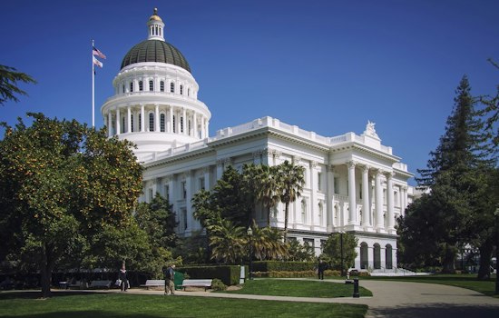 California Waived $57 Million in Interest in a Single Day in 2024