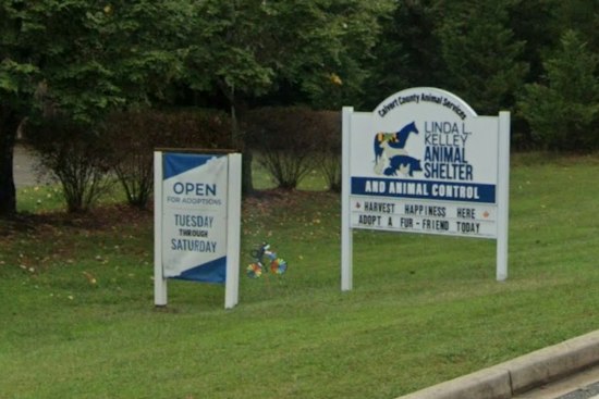Calvert County Men Hit With Hundreds of Animal Cruelty Charges Over Feces-Filled Kennels