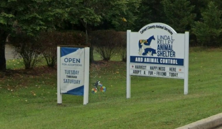 Calvert County Men Hit With Hundreds of Animal Cruelty Charges Over Feces-Filled Kennels