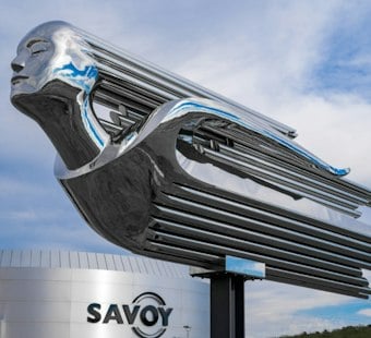 Cartersville's Savoy Museum to Host 125-Car Auction Starring a Ridler Winner