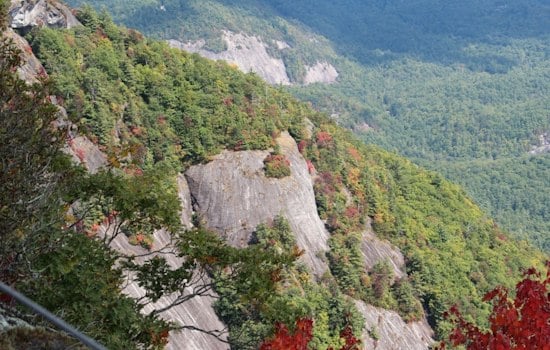 Cashiers' Shadow of the Bear Draws Crowds to Whiteside Mountain for a Few Weeks Only