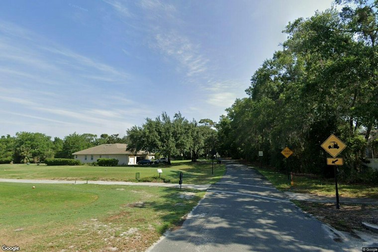 Casselberry Peacock Feud Boils Over as City Weighs Ending Bird Sanctuary