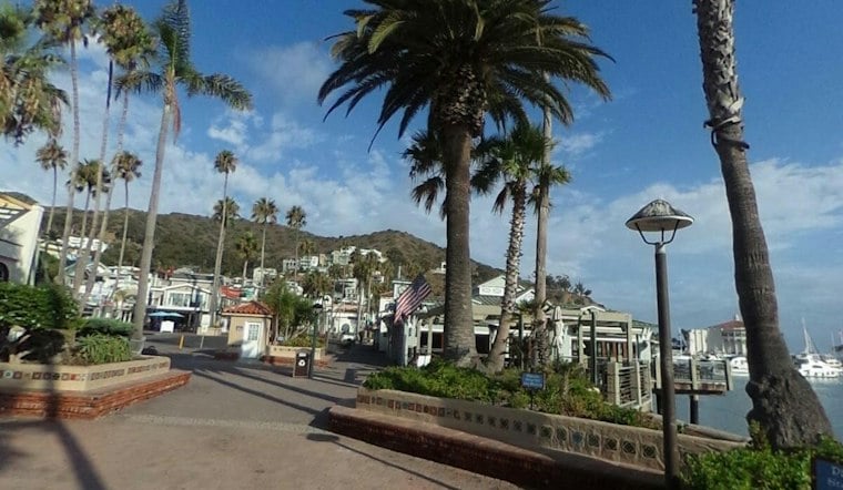 Catalina Island's Mermaid Festival Returns to Avalon With Ducks and Ocean-Themed Events
