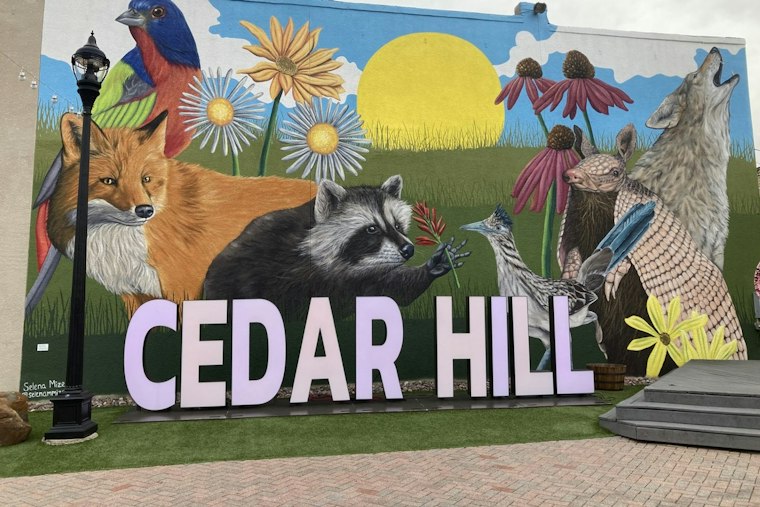 Cedar Hill’s Traffic Signal Box Art Project Offered Artists Up to $1,250