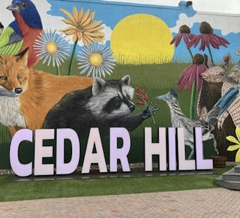 Cedar Hill’s Traffic Signal Box Art Project Offered Artists Up to $1,250