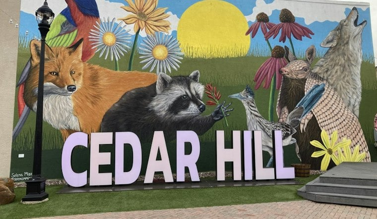 Cedar Hill’s Traffic Signal Box Art Project Offered Artists Up to $1,250
