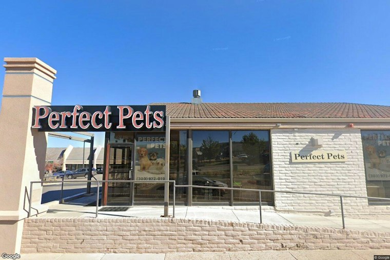 Centennial Puppy Theft Case: Timothy Davis Gets Two Years