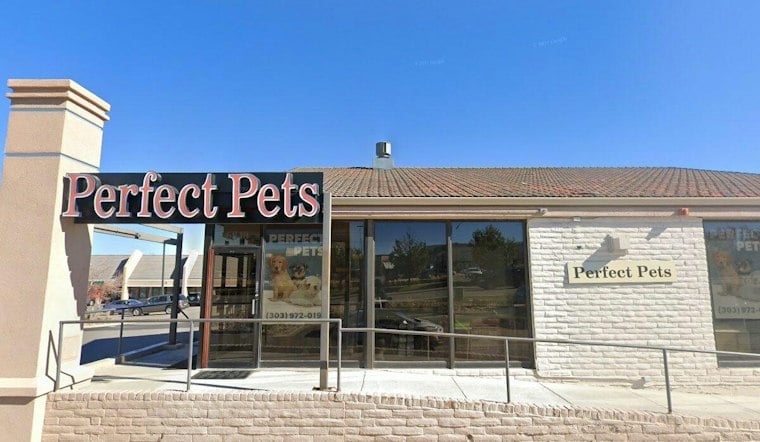 Centennial Puppy Theft Case: Timothy Davis Gets Two Years
