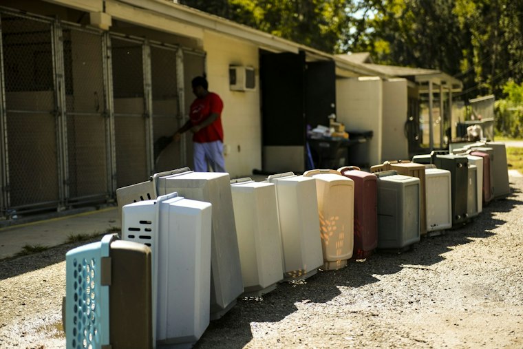 Charleston Chefs Fire Up Hutson Alley to Help 1,300 Shelter Animals