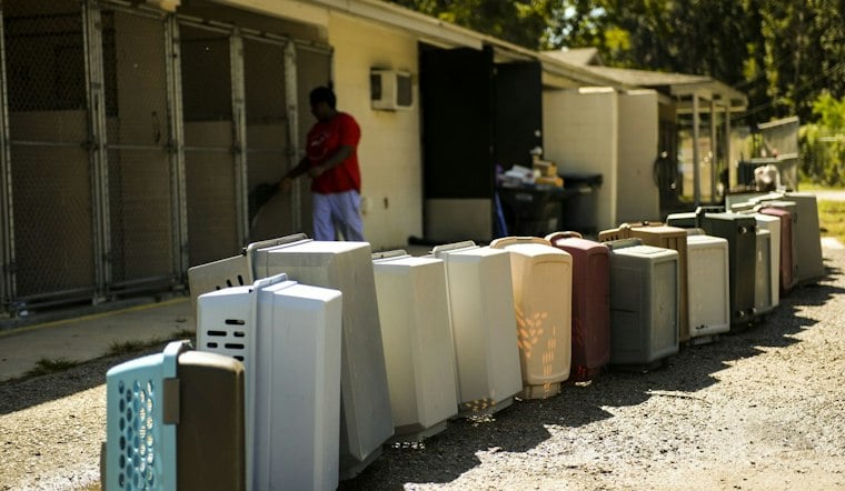 Charleston Chefs Fire Up Hutson Alley to Help 1,300 Shelter Animals