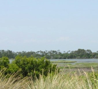 Charleston Woman, 45, Found Dead in Kiawah Island Beach Club Pool