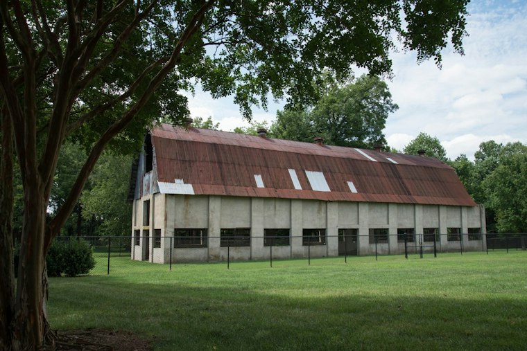 Charlotte's Fall Pottery Festival Returns With 100-Plus Artists After Storm Delay