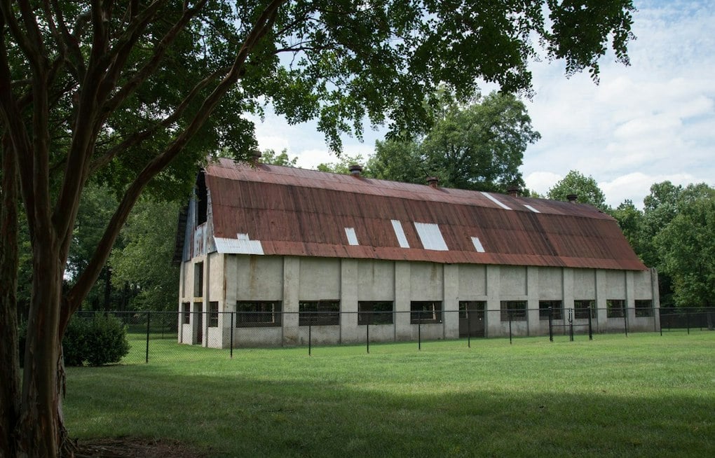 Charlotte's Fall Pottery Festival Returns With 100-Plus Artists After Storm Delay