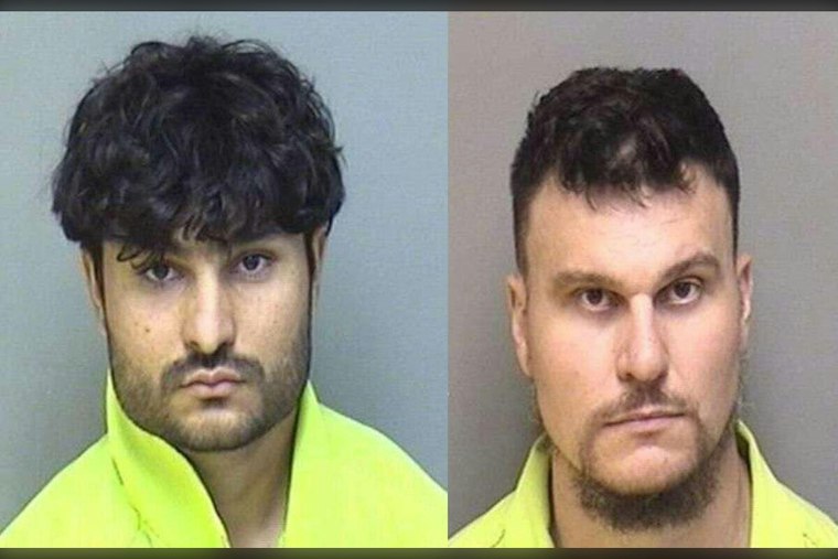 Charlottesville Man, 20, Pleads Guilty in Albemarle Online Operation