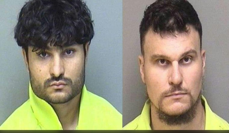 Charlottesville Man, 20, Pleads Guilty in Albemarle Online Operation