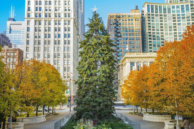Chicago Hunts for Its Next 45-Foot Showstopper Before Oct. 23 Deadline