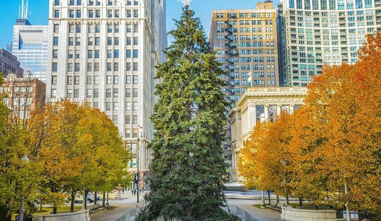 Chicago Hunts for Its Next 45-Foot Showstopper Before Oct. 23 Deadline