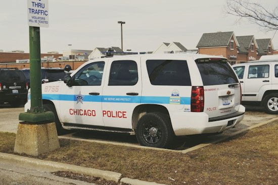 Chicago Police Hunt Man Who Attacked CTA Rider Near Roseland