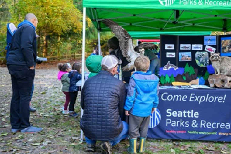 Chum Salmon Return to Carkeek Park as Seattle Kicks Off Annual Run
