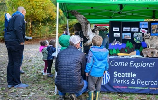 Chum Salmon Return to Carkeek Park as Seattle Kicks Off Annual Run