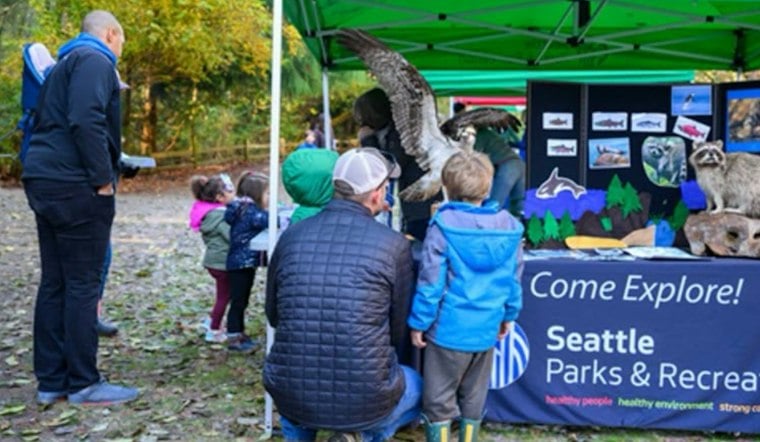Chum Salmon Return to Carkeek Park as Seattle Kicks Off Annual Run