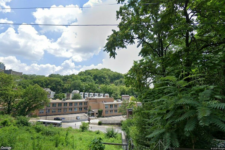 Cincinnati Nonprofit Plans Public Orchard at Forgotten Fig Alley Steps