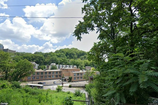 Cincinnati Nonprofit Plans Public Orchard at Forgotten Fig Alley Steps