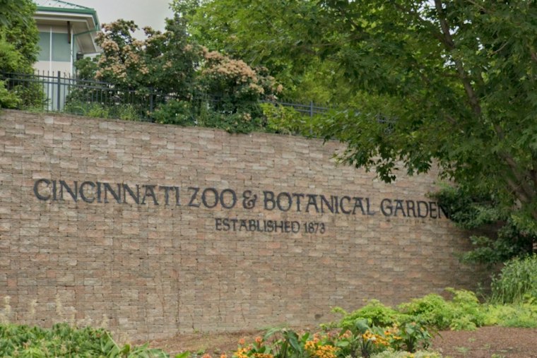Cincinnati Zoo's Rescued Bear Sisters Pack On Pounds Ahead of Winter