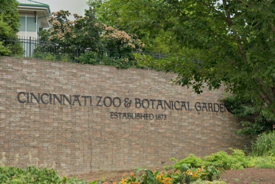 Cincinnati Zoo's Rescued Bear Sisters Pack On Pounds Ahead of Winter