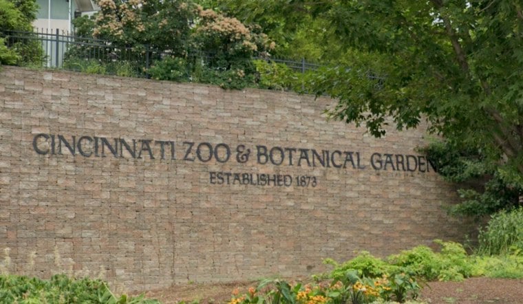 Cincinnati Zoo's Rescued Bear Sisters Pack On Pounds Ahead of Winter