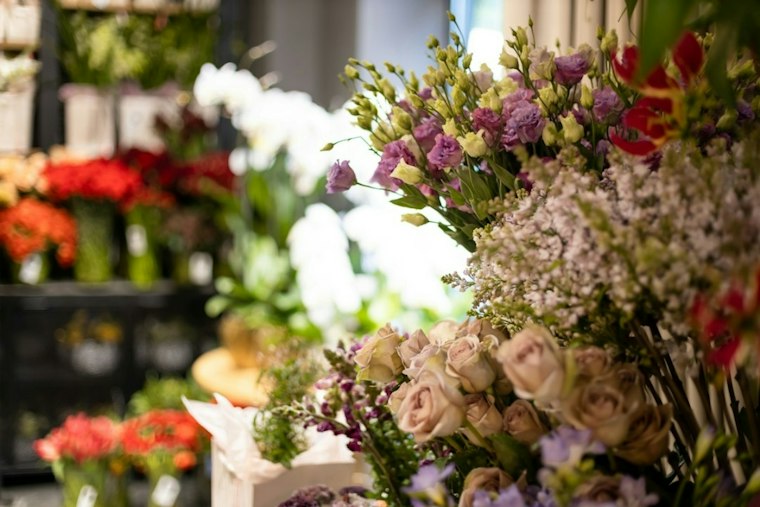 CJ Hendry's $10 Plush Flower Shop Blooms in Venice Beach This November