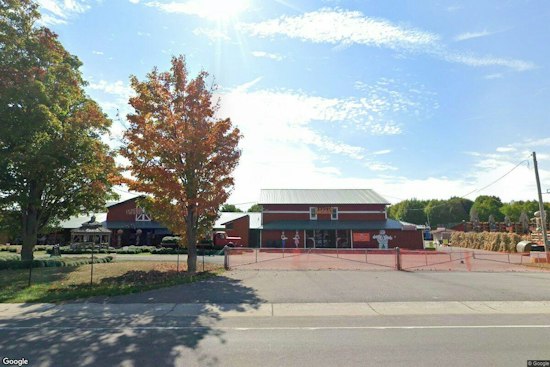 Clarence Pumpkin Farm That Everyone Mocked Now Pulls In $2 Million a Year