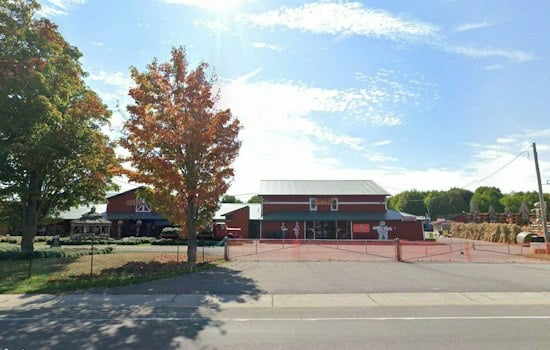 Clarence Pumpkin Farm That Everyone Mocked Now Pulls In $2 Million a Year