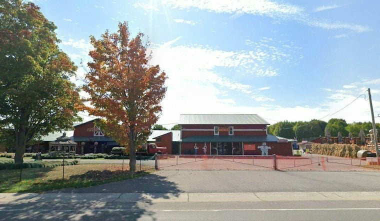 Clarence Pumpkin Farm That Everyone Mocked Now Pulls In $2 Million a Year