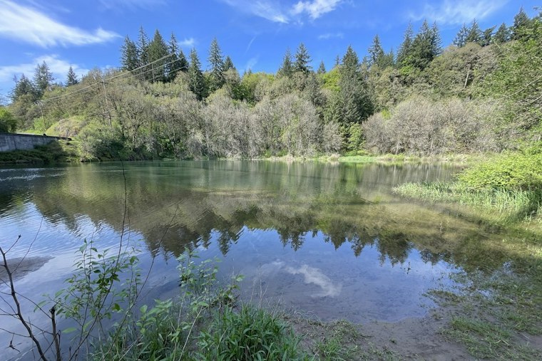 Clark County Finishes $23.5M River Overhaul, Salmon Already Spawning