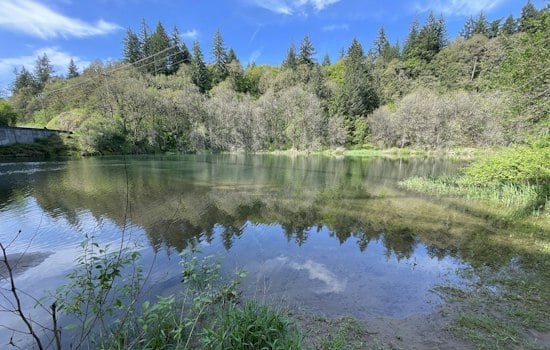 Clark County Finishes $23.5M River Overhaul, Salmon Already Spawning