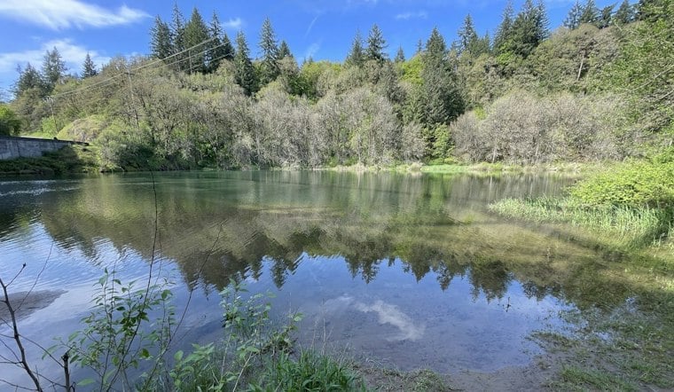 Clark County Finishes $23.5M River Overhaul, Salmon Already Spawning