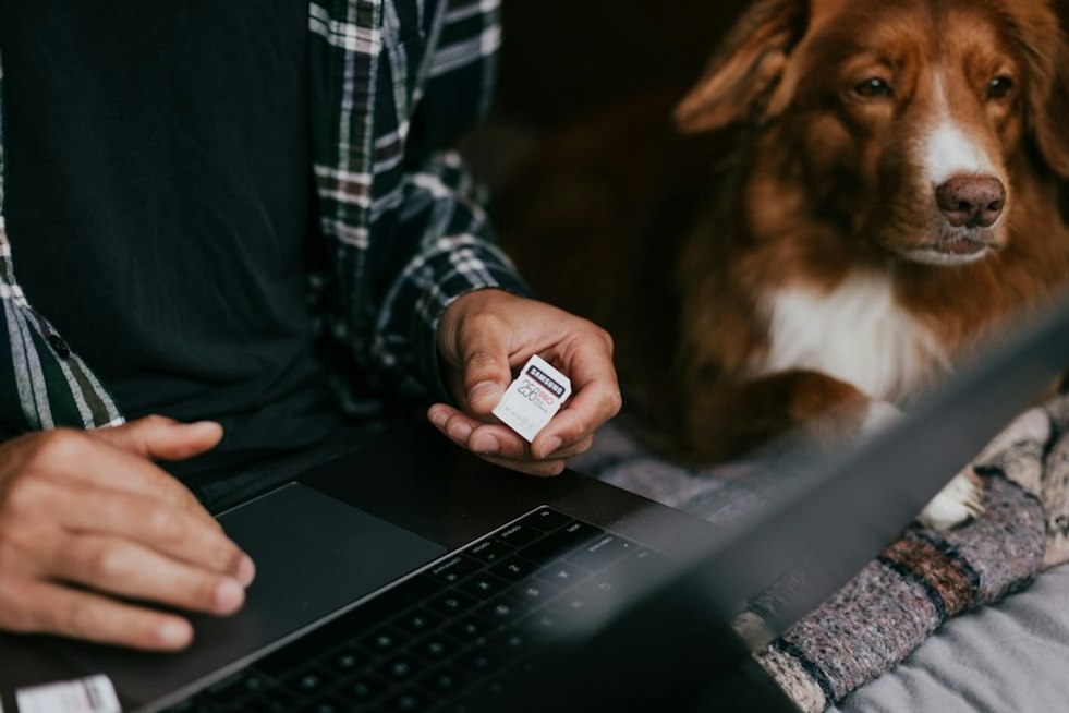 Clark County Rolls Out Free Microchip Scanners to Reunite Lost Pets With Owners