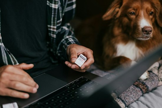 Clark County Rolls Out Free Microchip Scanners to Reunite Lost Pets With Owners
