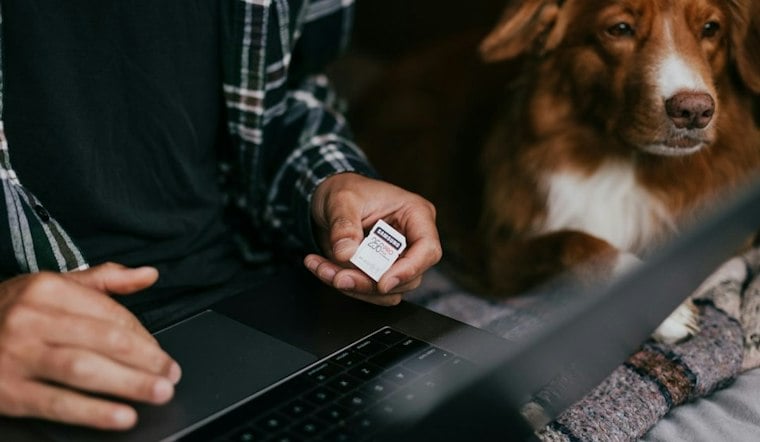 Clark County Rolls Out Free Microchip Scanners to Reunite Lost Pets With Owners