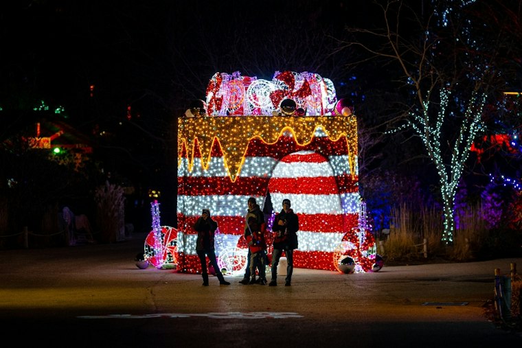 Wild Winter Lights Returns to Cleveland Metroparks Zoo 2026