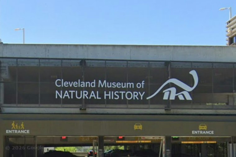Cleveland Museum Unveils 10-Year Plan to Save Ohio's Vanishing Wildlife