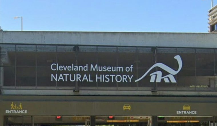 Cleveland Museum Unveils 10-Year Plan to Save Ohio's Vanishing Wildlife