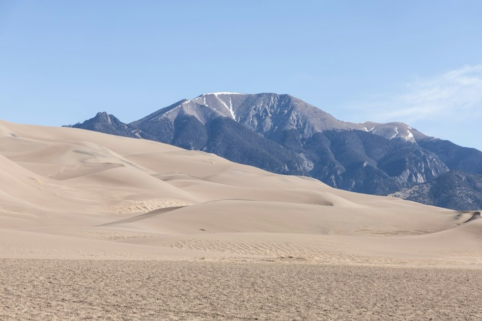 Colorado's Tallest Dunes Are Shrinking, and a Park Geologist Calls Them a Living Organism