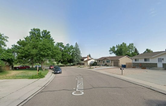 Colorado Springs Dog Dispute Erupts Into Walking-Stick Attack, Woman Hurt