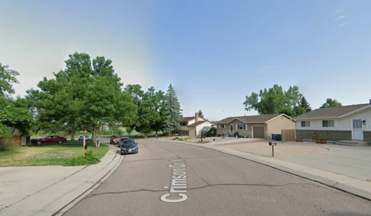 Colorado Springs Dog Dispute Erupts Into Walking-Stick Attack, Woman Hurt