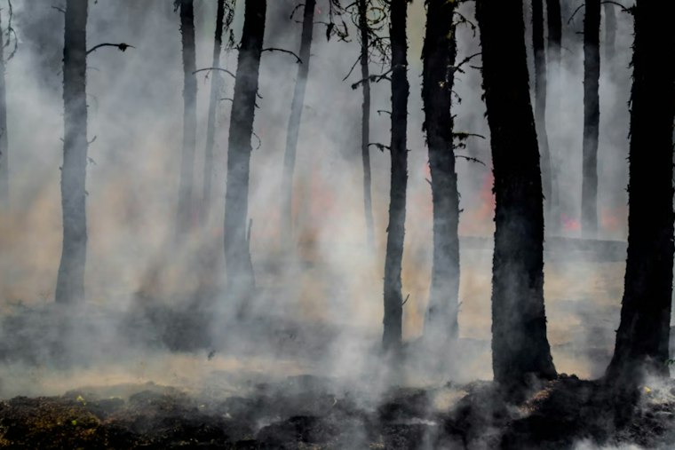 Columbus Man Gets Probation for Setting 108-Acre Talbot County Wildfire